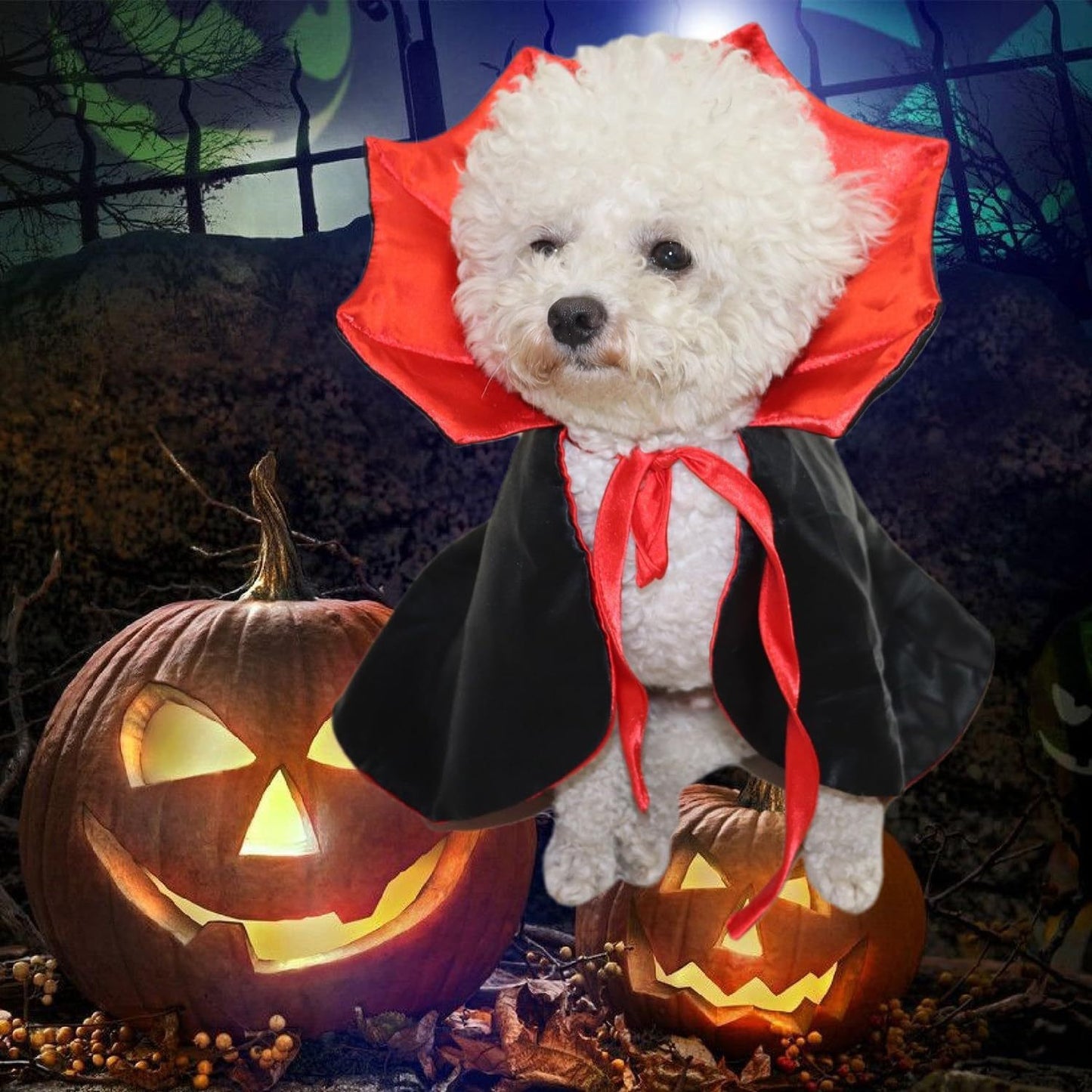 Cute Halloween Pet Costumes