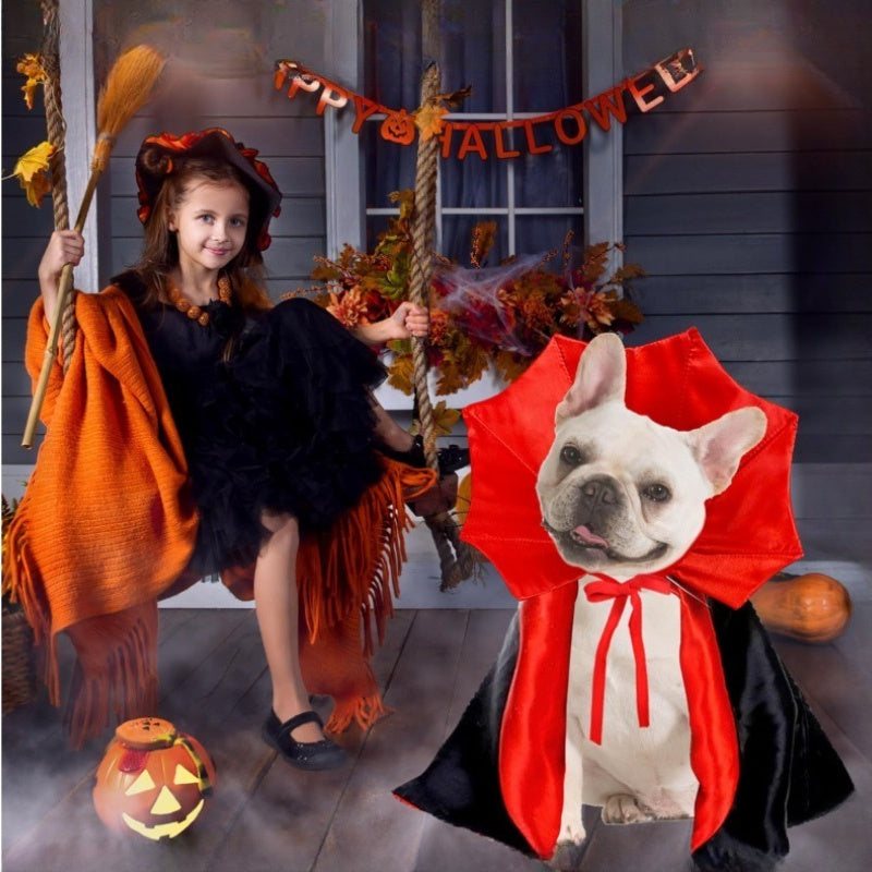 Cute Halloween Pet Costumes