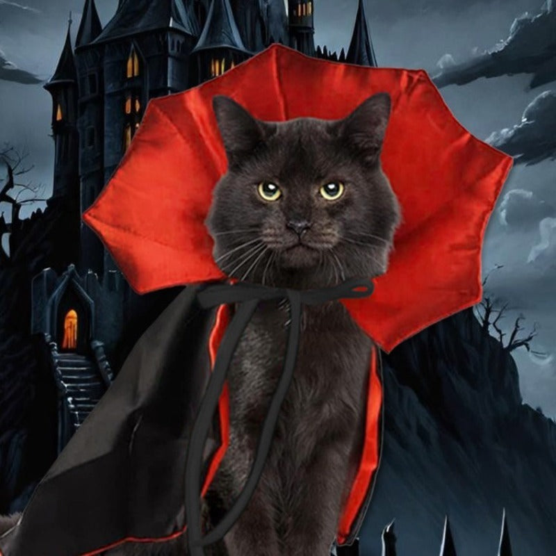 Cute Halloween Pet Costumes