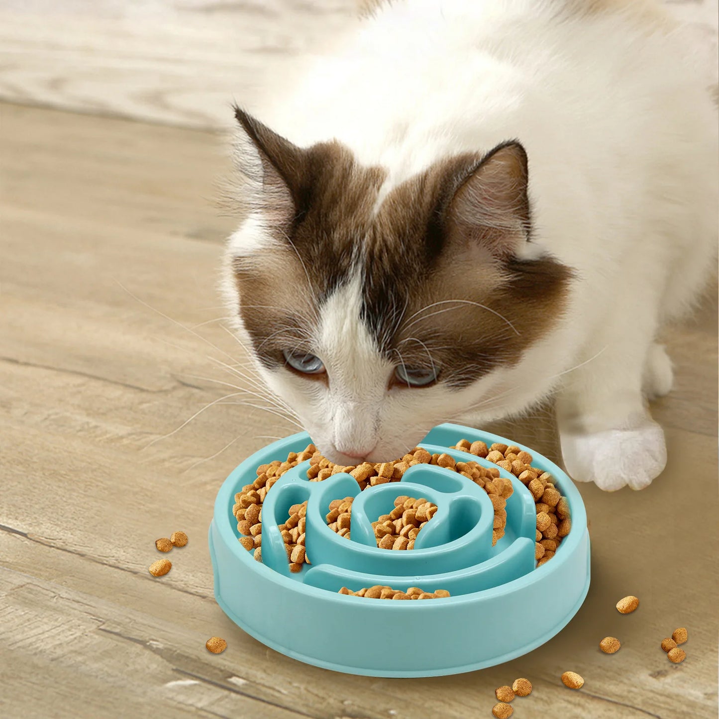 Non-Slip Slow Feeder Bowl for Dogs and Cats – Durable Design to Promote Healthy Eating Habits – Suitable for All Pet Sizes